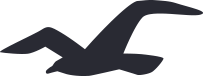 hollister logo